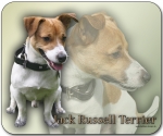 Mousepad Jack Russell Terrier